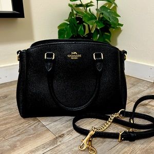 Coach Mini Sage Carryall Bag